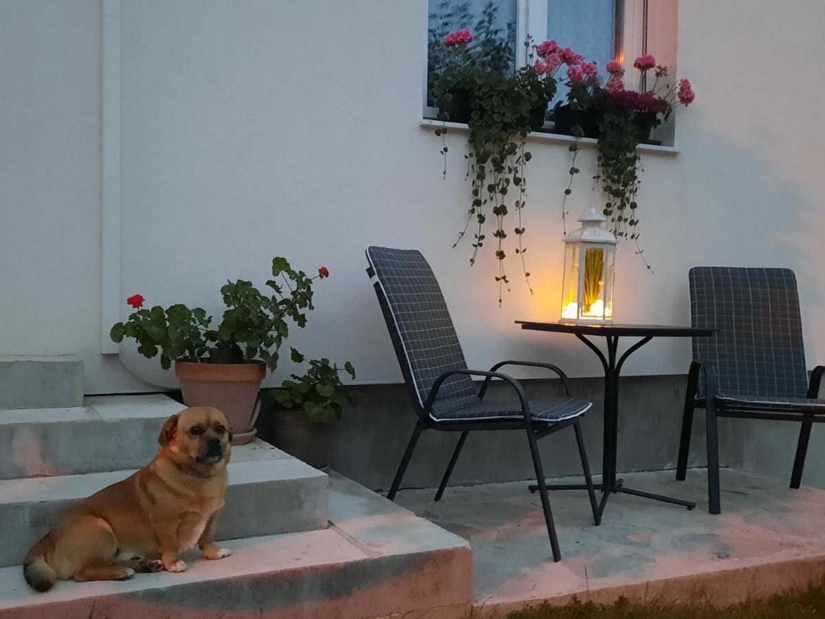Studio Apartman Marta Korenica Kültér fotó