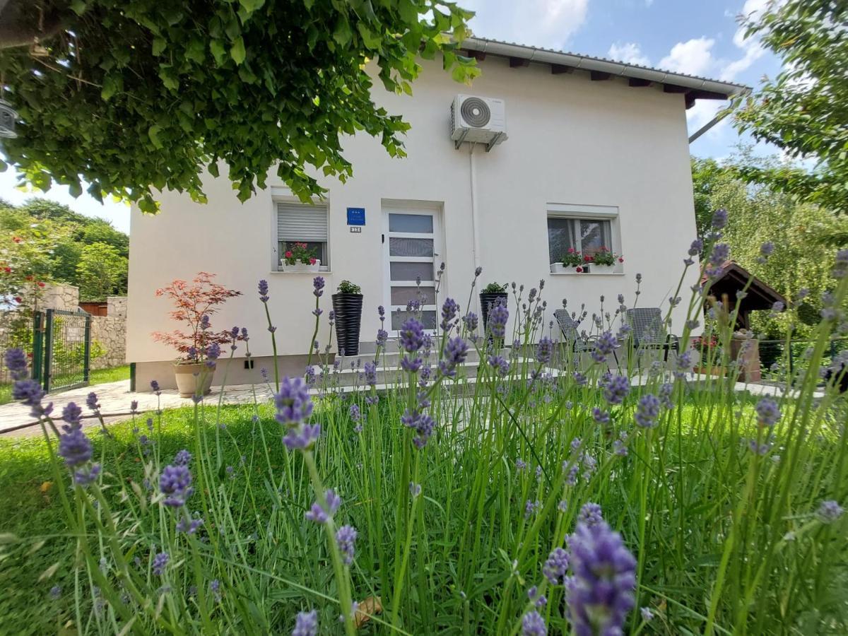 Studio Apartman Marta Korenica Kültér fotó